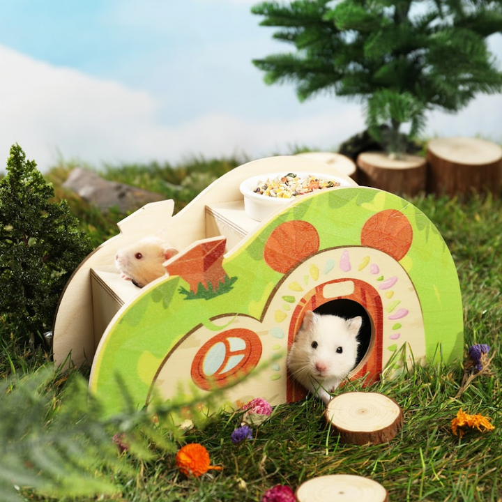 Charming fairy-themed resting cottage for small pets like hamsters and mice