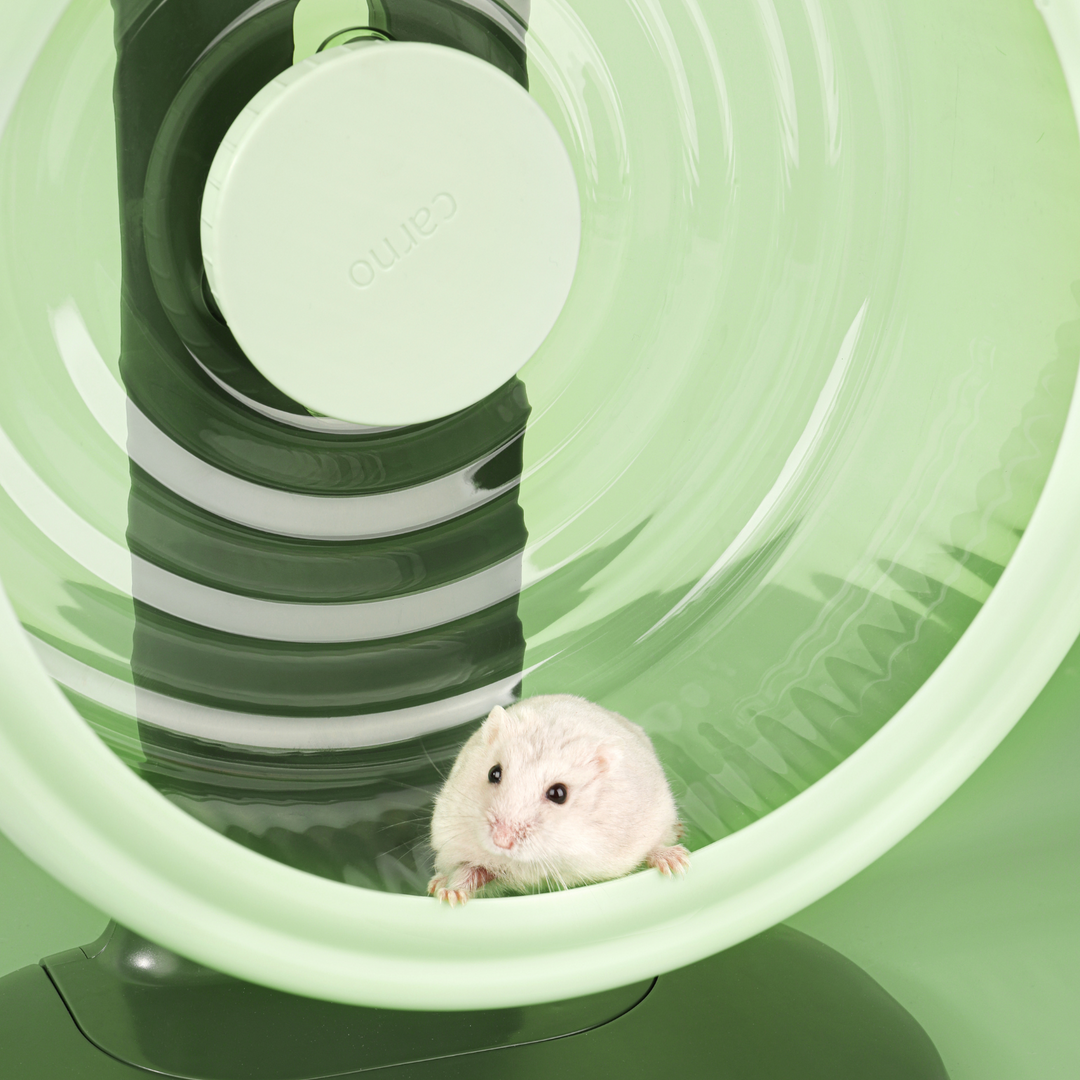 Close-up view showcasing its durable construction.