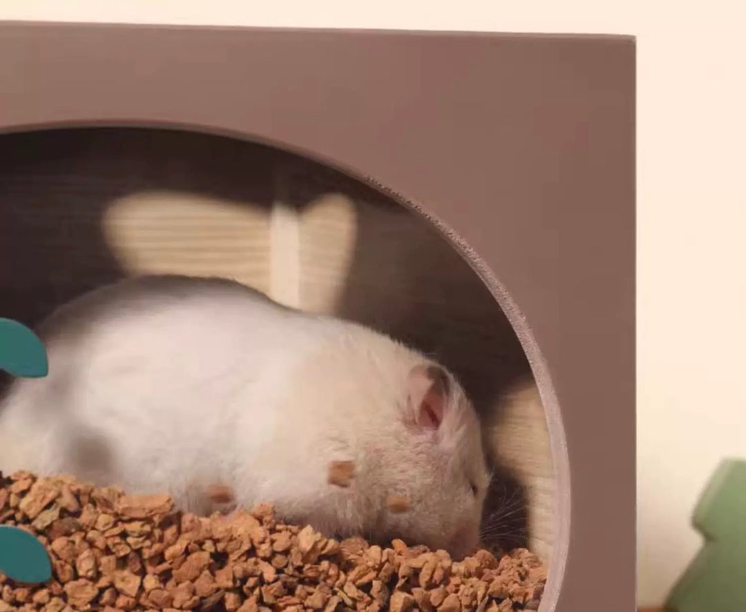 Hamster burrowing in the Mini&Moe Ivy Burrowing Box for natural enrichment