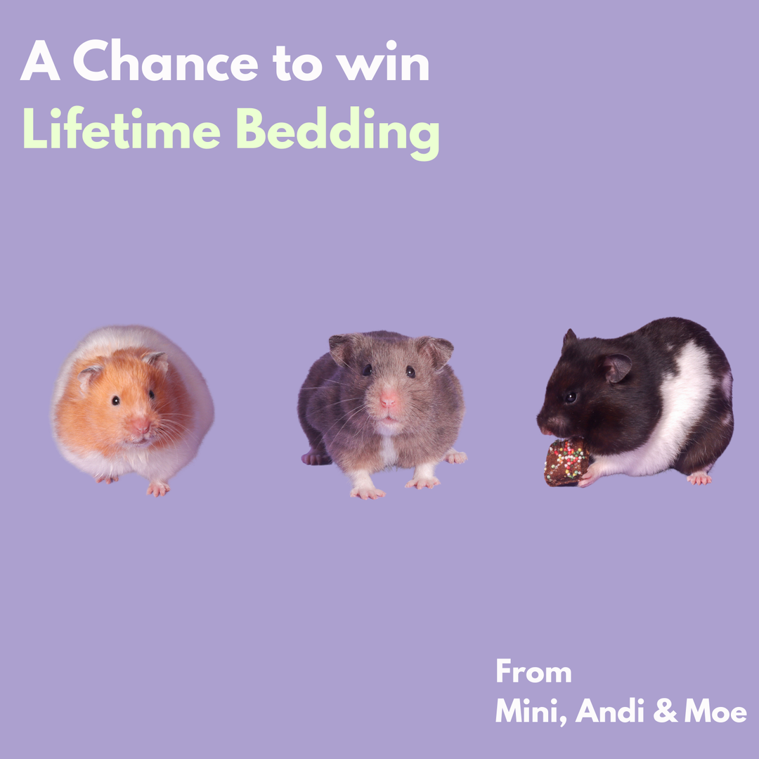 Limited Hamster Travel Essentials Kit