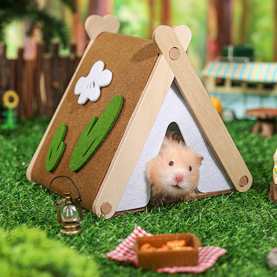 Hamtser Enjoying the Mini&Moe Camping Tent Hide