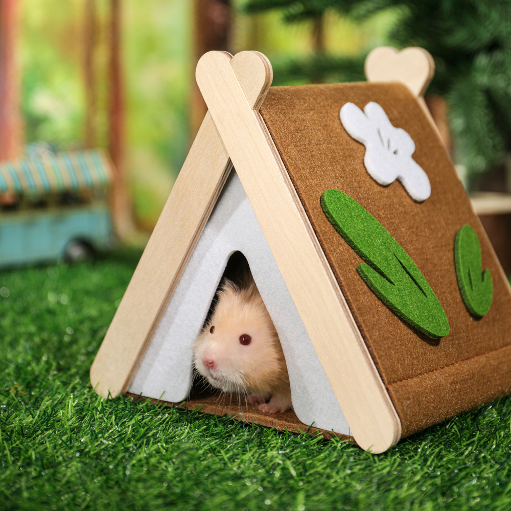 Cozy Small Animal Hideaway in Tent Shape by Mini&Moe