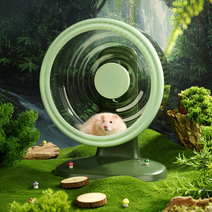 Hamster running on the wheel, highlighting its spacious 11.5" diameter