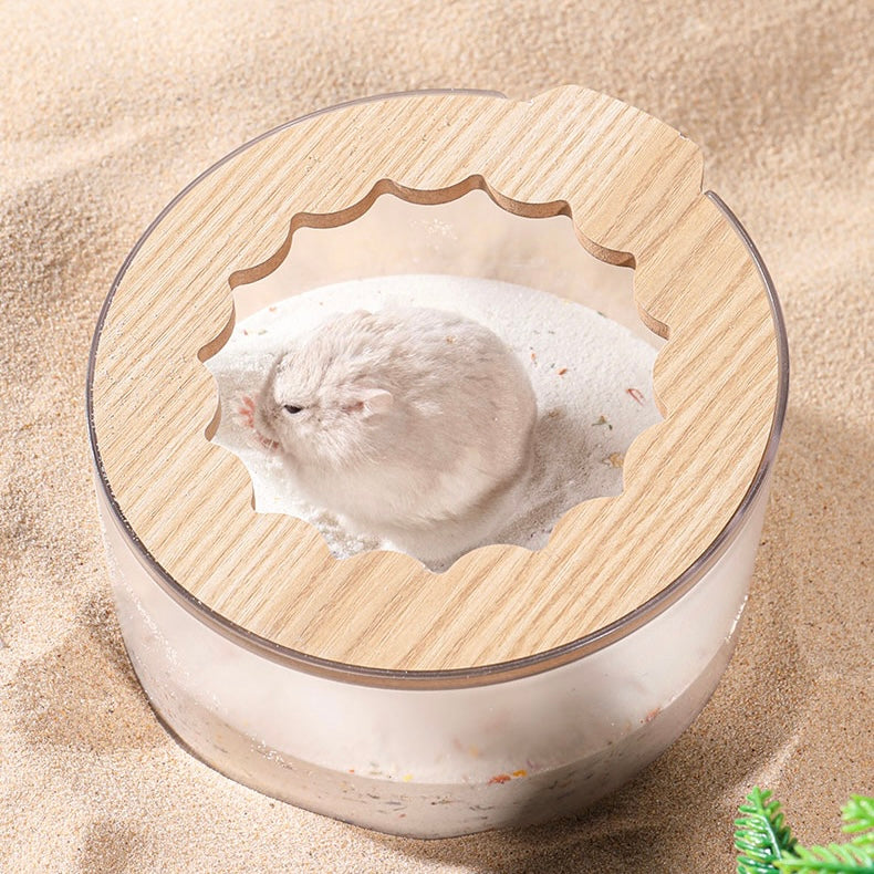 Close-up of the Flower Shower showcasing its colorful and interactive design