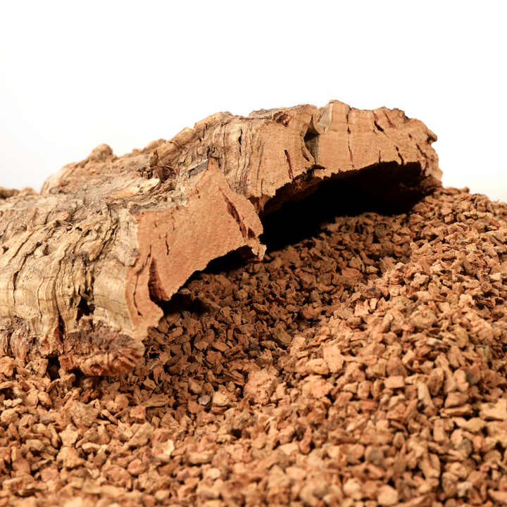 Hamster exploring natural Cork Pebbles in a decorated habitat