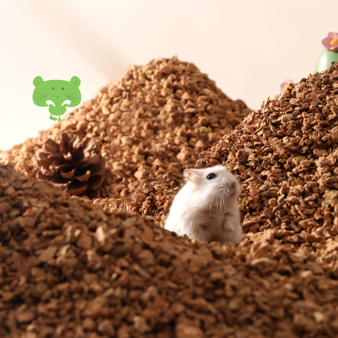 Close-up of Mini&Moe Cork Pebbles, perfect for eco-conscious pet owners