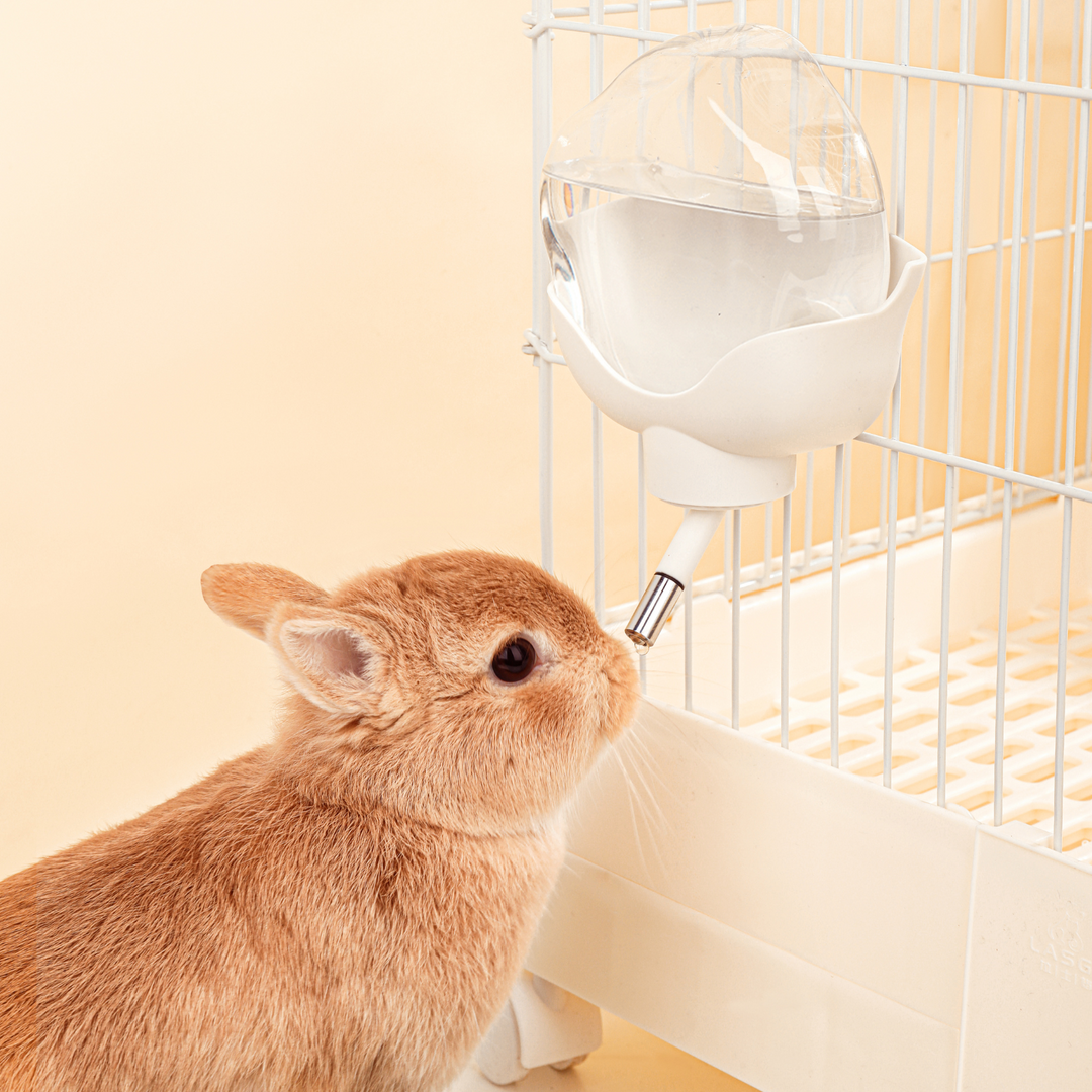 Hamster cage with a securely attached Cloud Water Bottle from Mini&Moe.