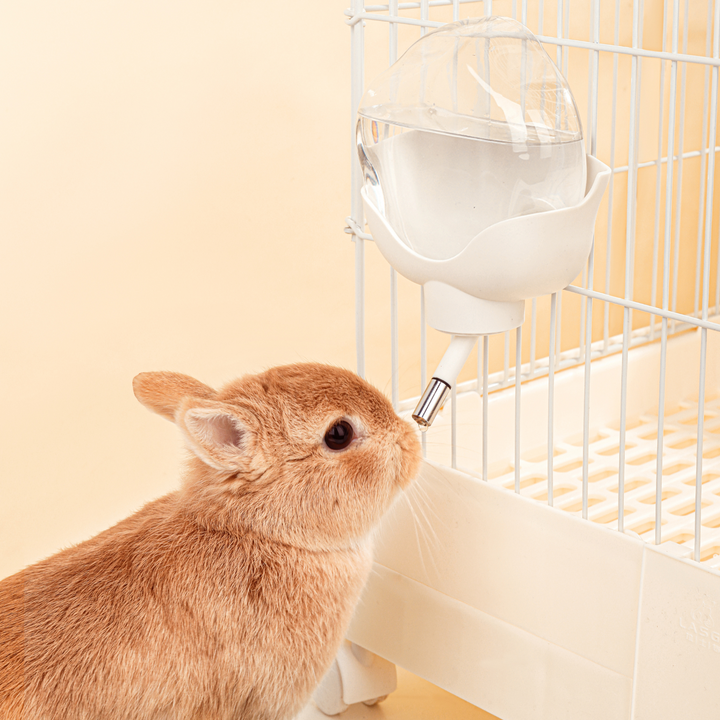 Hamster cage with a securely attached Cloud Water Bottle from Mini&Moe.