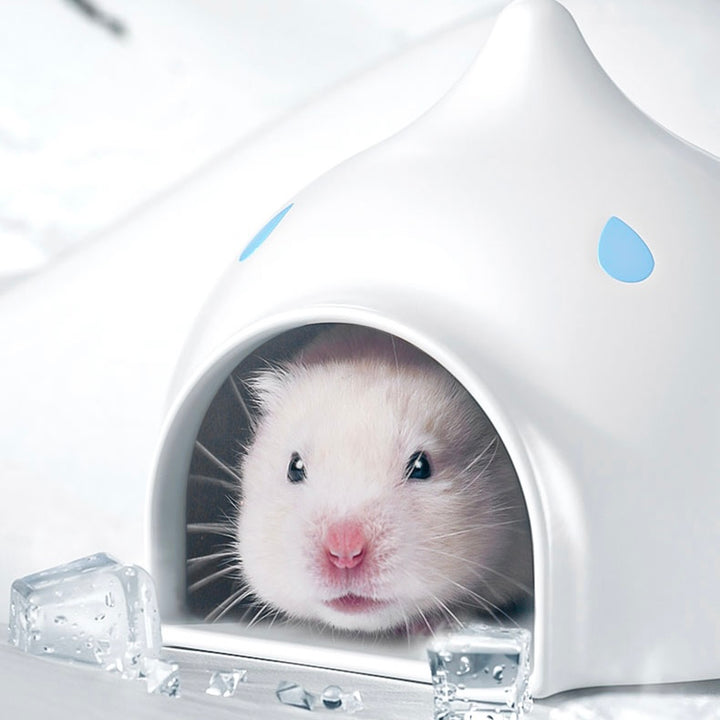 Close-up of the Hydro Hut Ceramic House with a sleek and modern design.