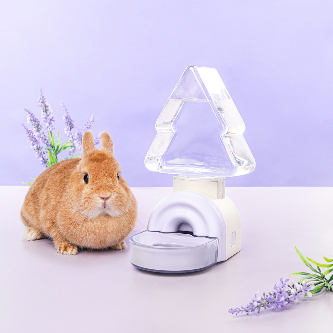 Durable and easy-to-use Woodland Gravity Water Bottle, designed for small pets to stay hydrated effortlessly.